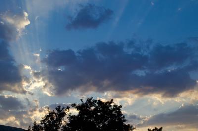 Прикрепленное изображение: img_0001_02.jpg